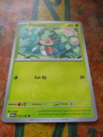 POKEMON  Fomantis    I  DRI EN   013/182   HP60   2025