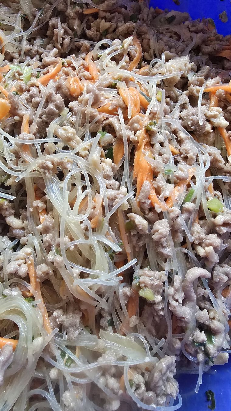 Cibi & Specialità: Frühlingsrollen mit oder ohne Fleisch gefroren – Usato da Biberist venduto da Giveme 8