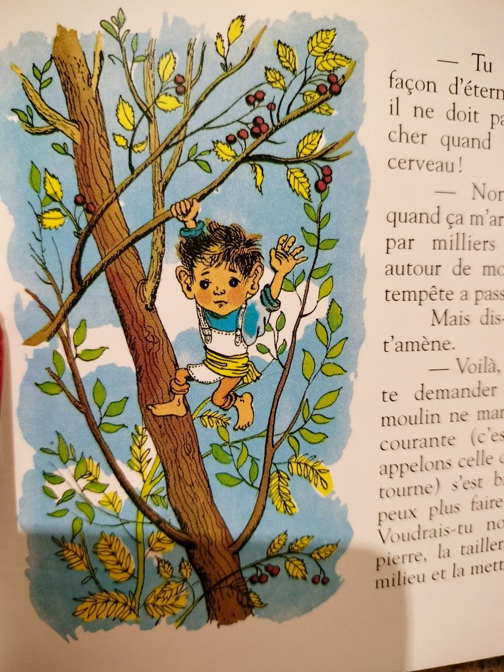Bücher: Lot de 4 Les Mini Castor 3 - 5 ans – Gebraucht aus Cortaillod von rozinna 9