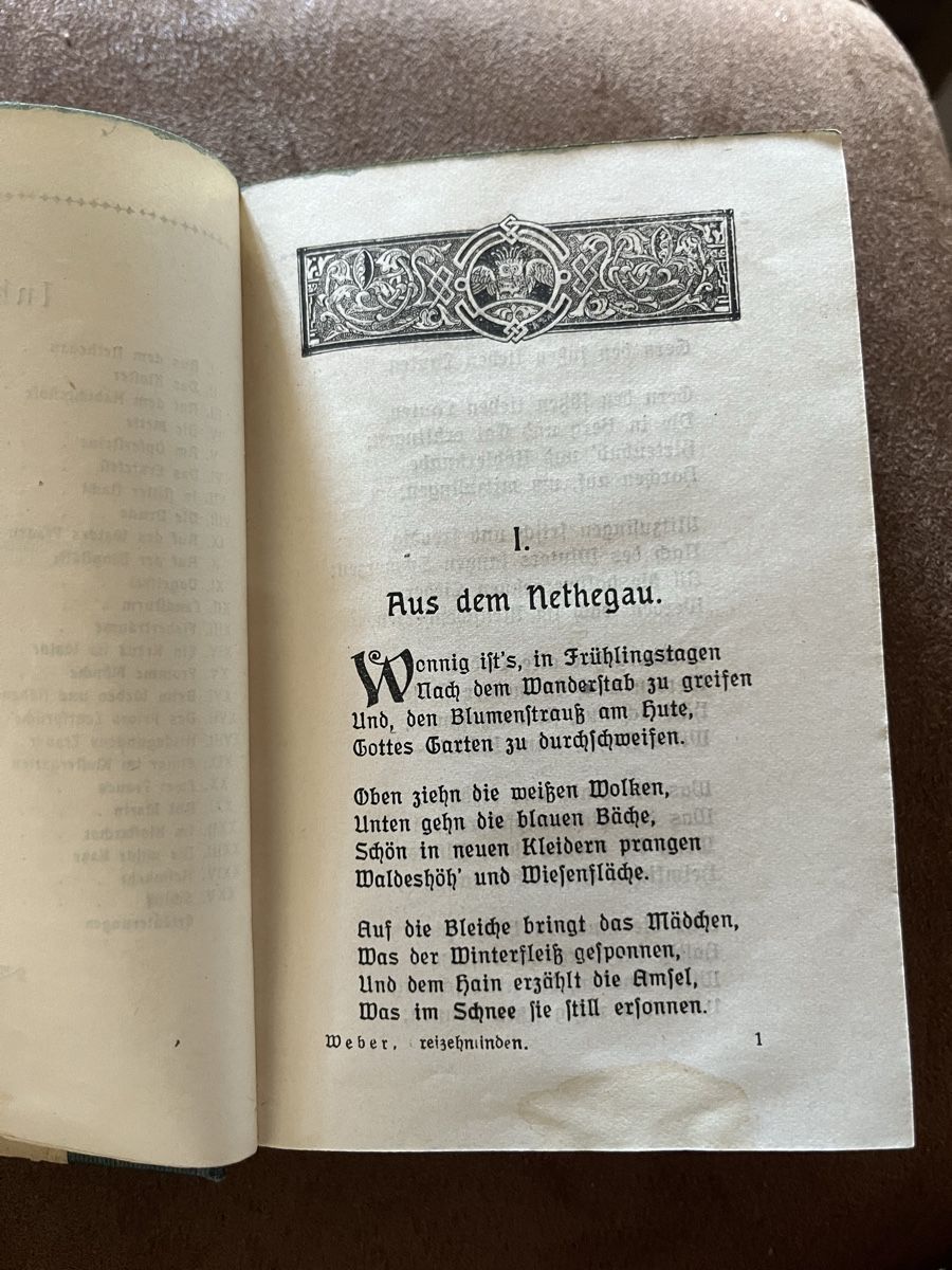 Libri: Libro antico "Dreizehnlinden" F. W. Weber,  – Usato da Novaggio venduto da Sabi-Pearl 3