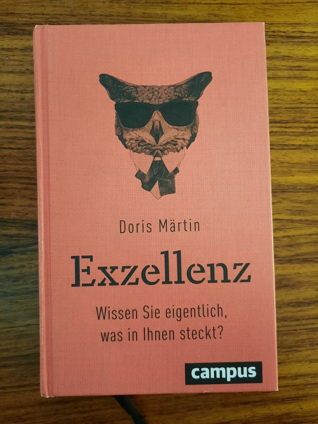 Libri: Exzellenz, Wissen Sie eigentlich was in Ihnen steckt? – Nuovo (secondo la descrizione) da Wettingen venduto da Beo