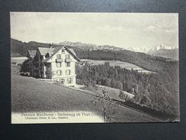 AK  Haldenegg ob Thun, gel. 1932