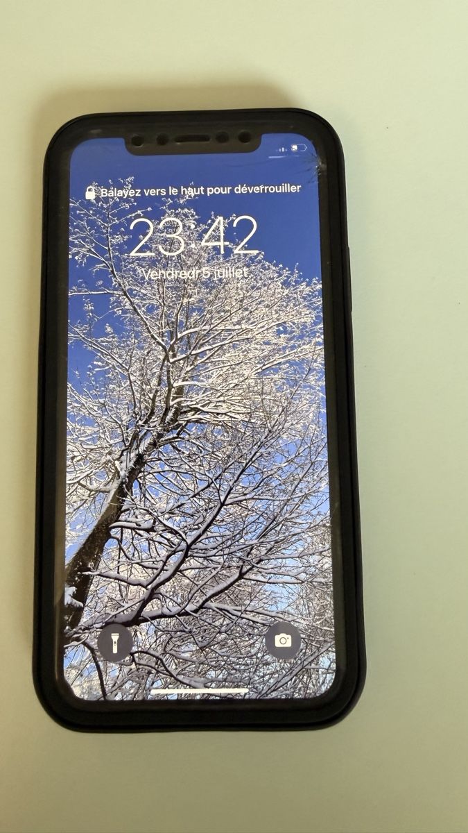 Apple Portables: iPhone XS 256GB Space Grey - Display gesprungen  – D'occasion à Lausanne par phi_7pnb 2