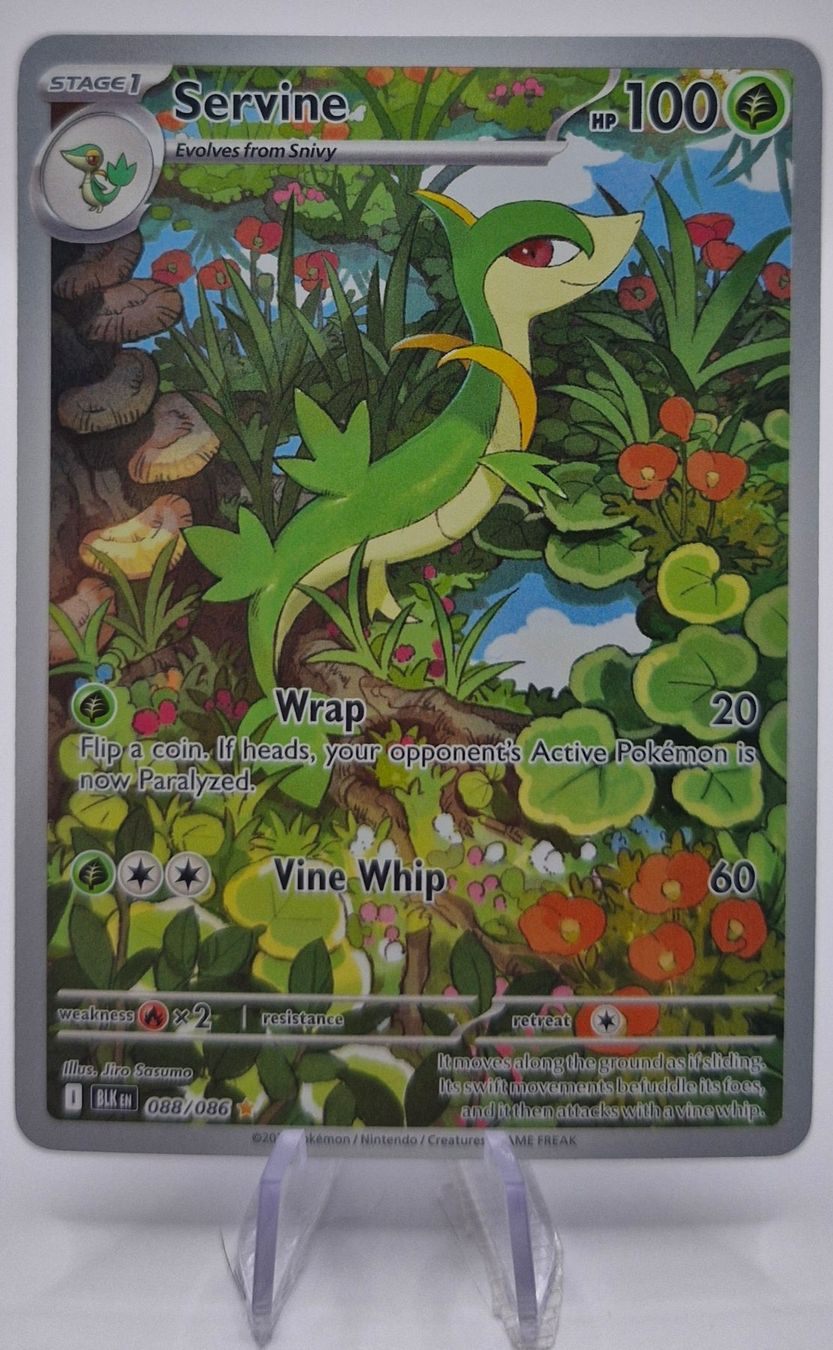 Pokémon Carte collezionabili: Servine / Efoserp / Black Bolt / Schwarze Blitze / BLK 088 – Nuovo (secondo la descrizione) da Arni AG venduto da PokemonCardsStore