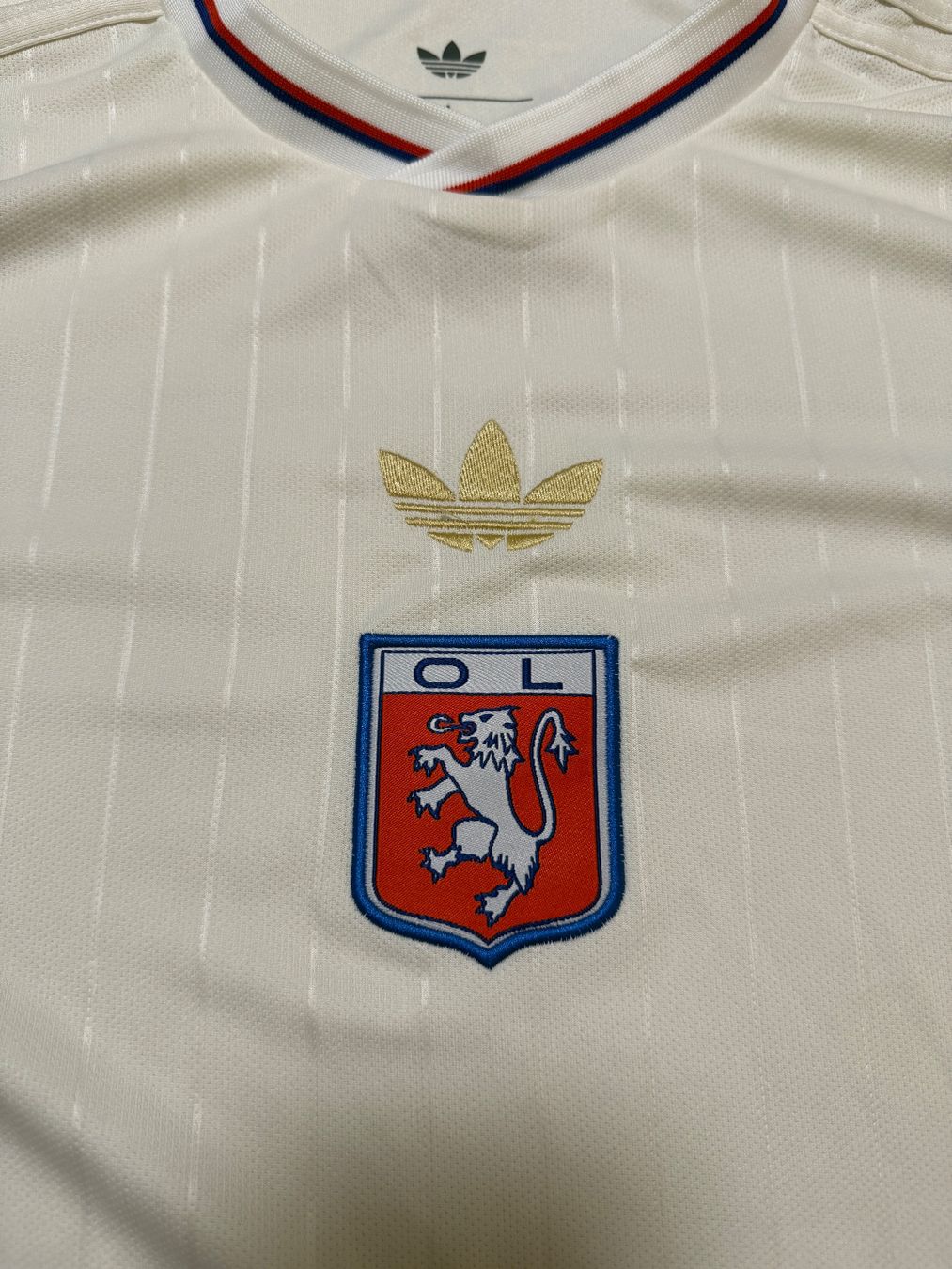 Canottiere & Pantaloni: Olympique Lyon 125 Jahre – Nuovo (secondo la descrizione) da Bronschhofen venduto da leo_99hp 2