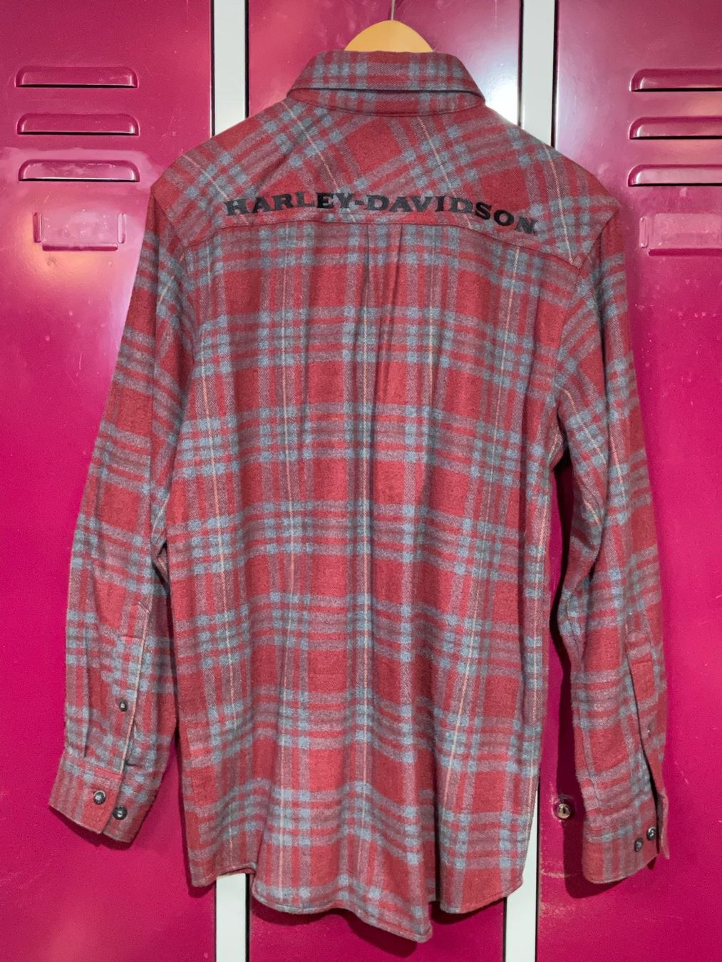 Harley-Davidson Camicie: HARLEY DAVIDSON FLANNEL SHIRT SZ: S – Usato da Cortaillod venduto da Stay_Alive_vintage 1