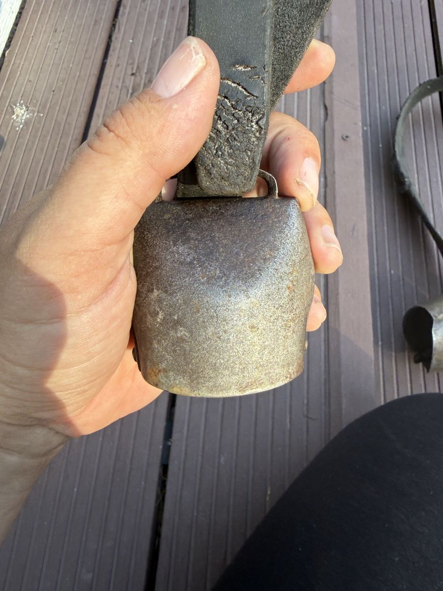 Campanacci mucche: Cloche Varonne  – Usato da Chessel venduto da Voyages--2020 2