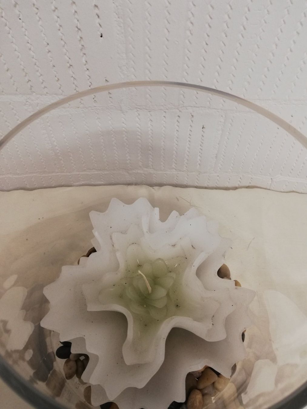 Alle Dekorationen: Deko Glas mit Wachsblume – Gebraucht aus Untersiggenthal von Marlen59 2