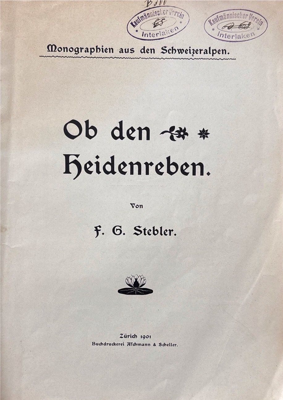 Libri: Stebler F. G., Ob den Heidenreben – Usato da Sarnen venduto da Livres 1