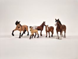 5 Schleich Pferde Set (Hengste, Stuten und Fohlen)