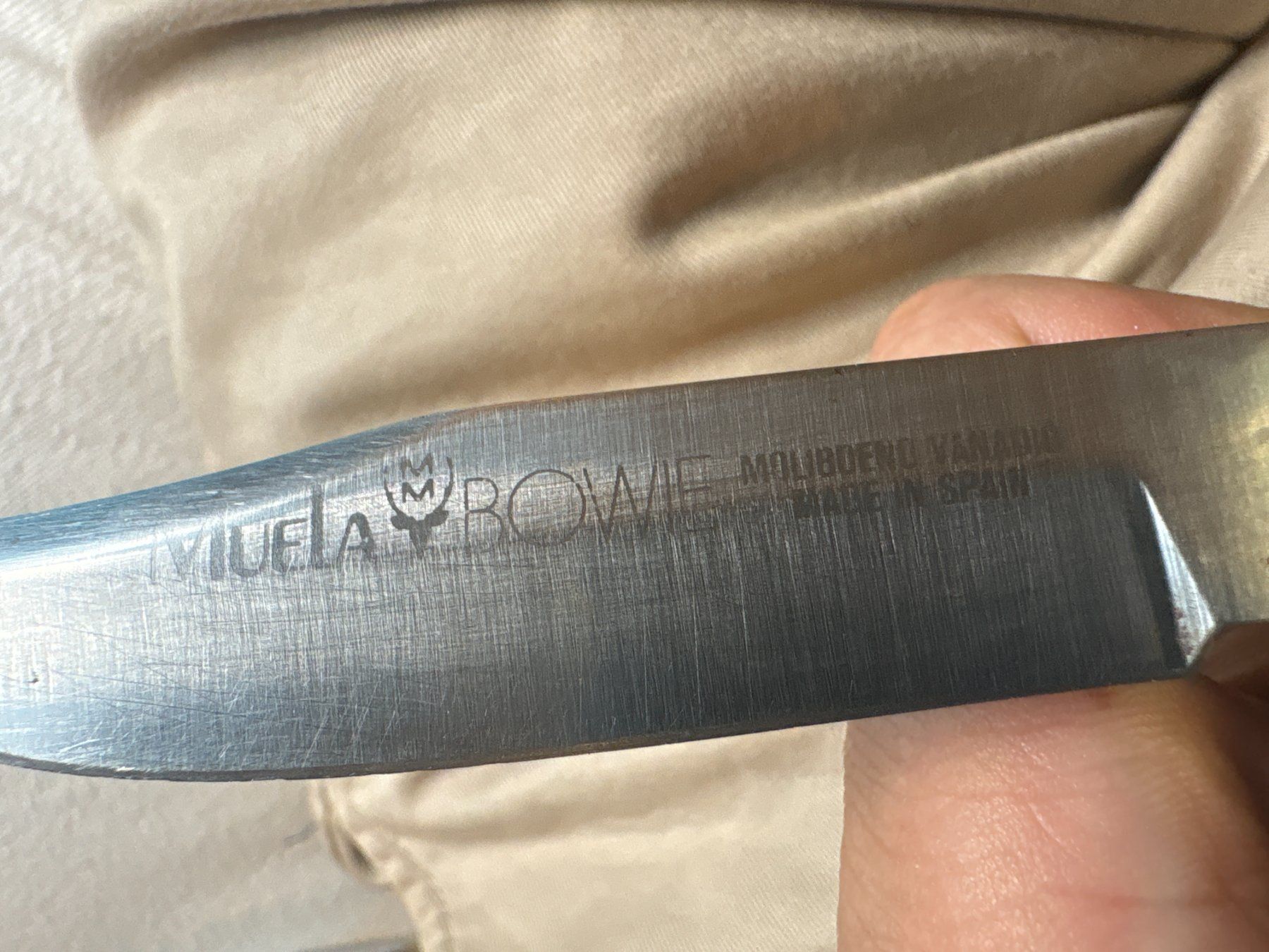 Muela Accessori: Muela Bowie Messer | Klingenlänge 10 cm – Usato da Elgg venduto da Jo_Naj 8