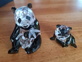 Swarovski Figur SCS Pandas Originalverpackt