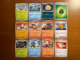 Pokemon 12er Karten Set (Versand gratis)