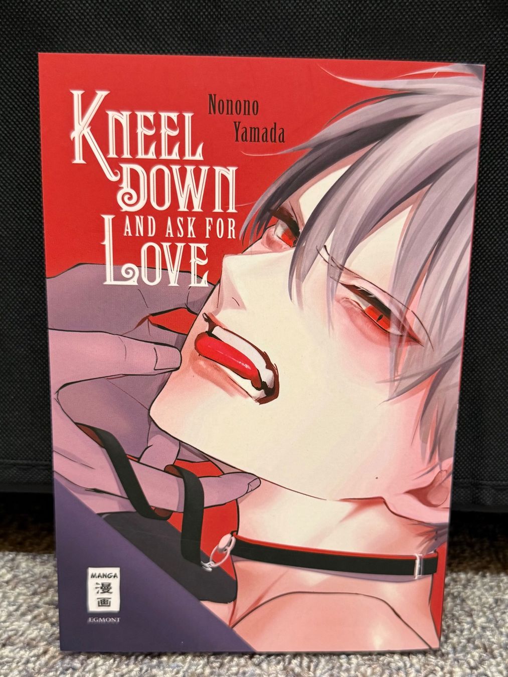 Fumetti: BL Manga: Kneel down and ask for love – Nuovo (secondo la descrizione) da Triesen venduto da cla_q2js
