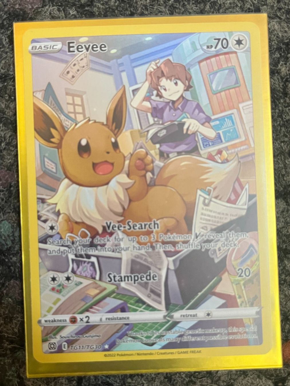 Pokémon Sammelbilder & Trading cards: Evoli (BRS TG11) – Neu (gemäss Beschreibung) aus St. Niklaus VS von tru_vj5x