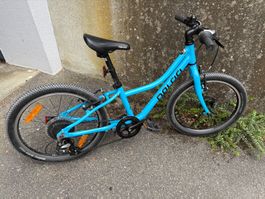 Naloo Kindervelo Chameleon 20 Zoll