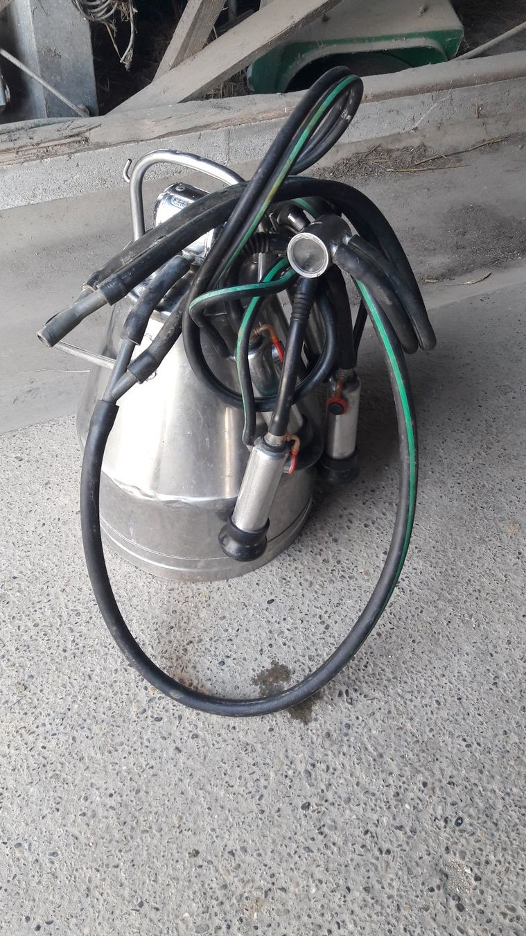 Westfalia Tutte le macchine: Melkmaschine Wesfalia nummer 1 – Usato da Laufen venduto da Mann455