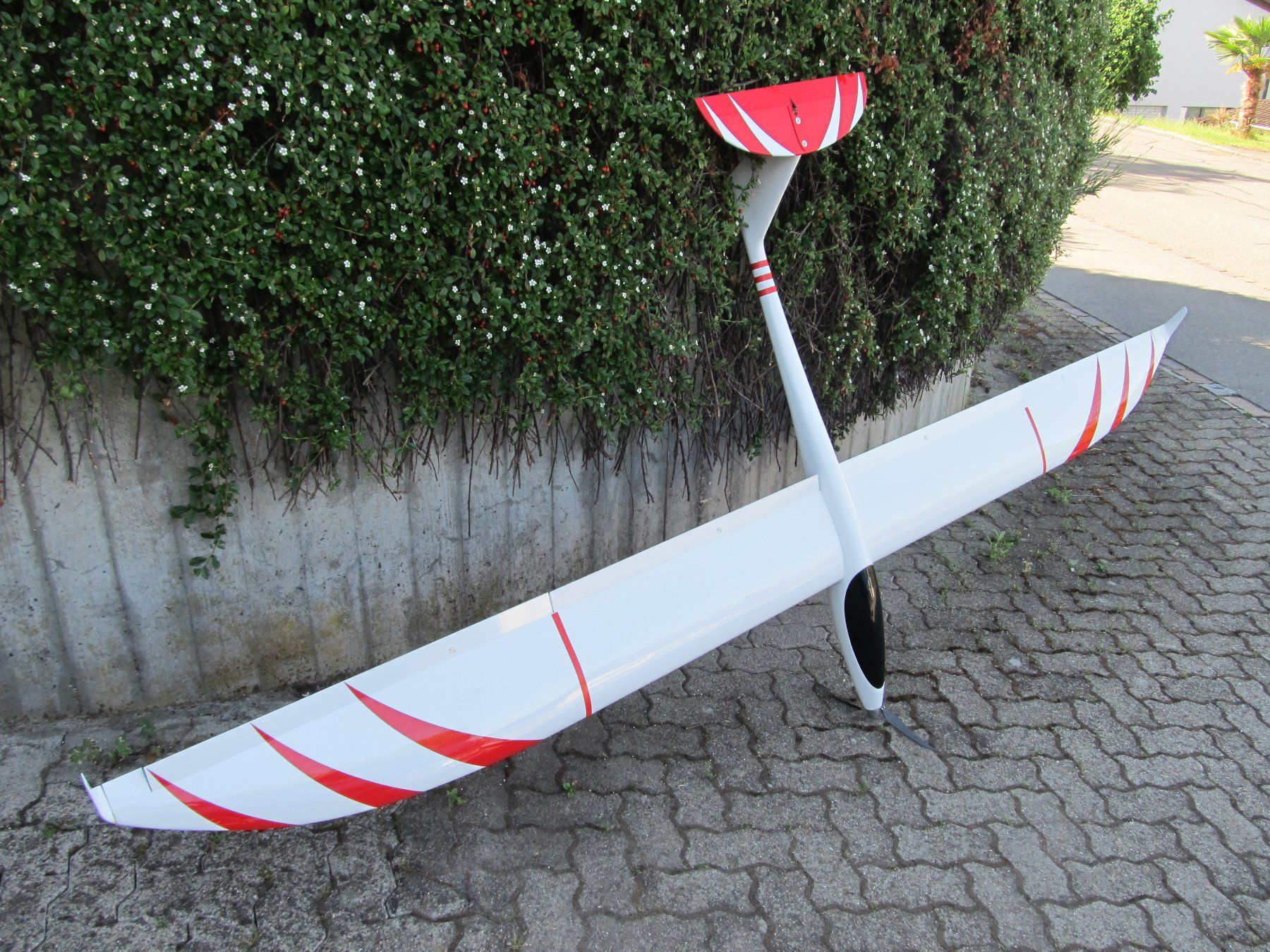 Modellismo RC: Dragon der Alleskönner – Usato da Oberlunkhofen venduto da Wnobody
