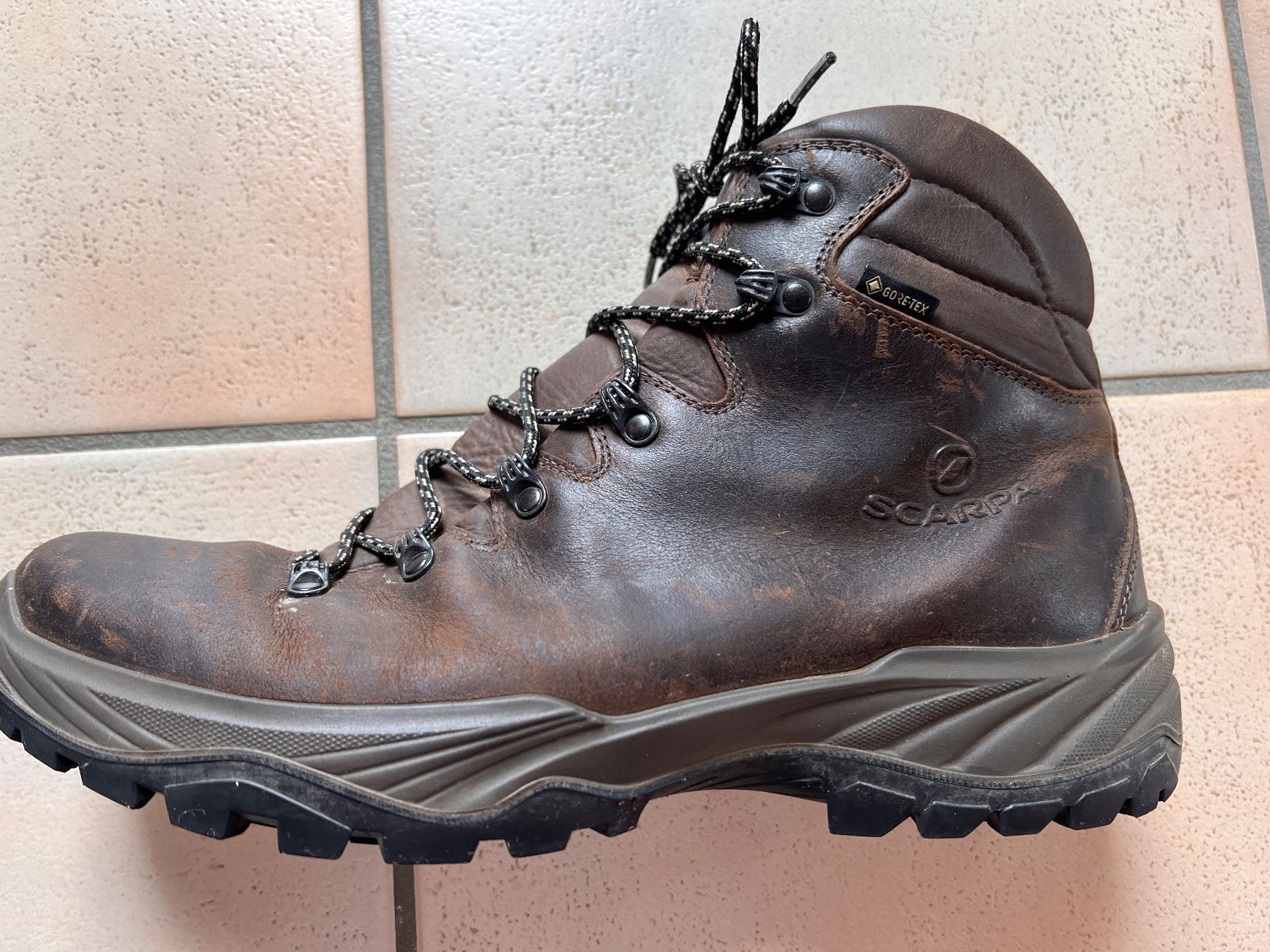Scarpa Herrenschuhe: Scarpa Terra GTX Wanderschuh. Männer. EU 46 – Gebraucht aus Obersaxen von jan_r6p6 1
