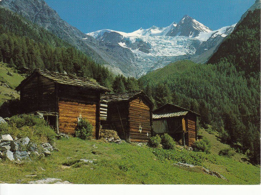 Ansichtskarten: Ried 1986 – Gebraucht aus Bürglen TG von StampGraf