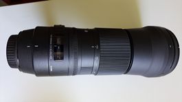 Sigma 150-600 f/5.6-6.3 DG für Canon