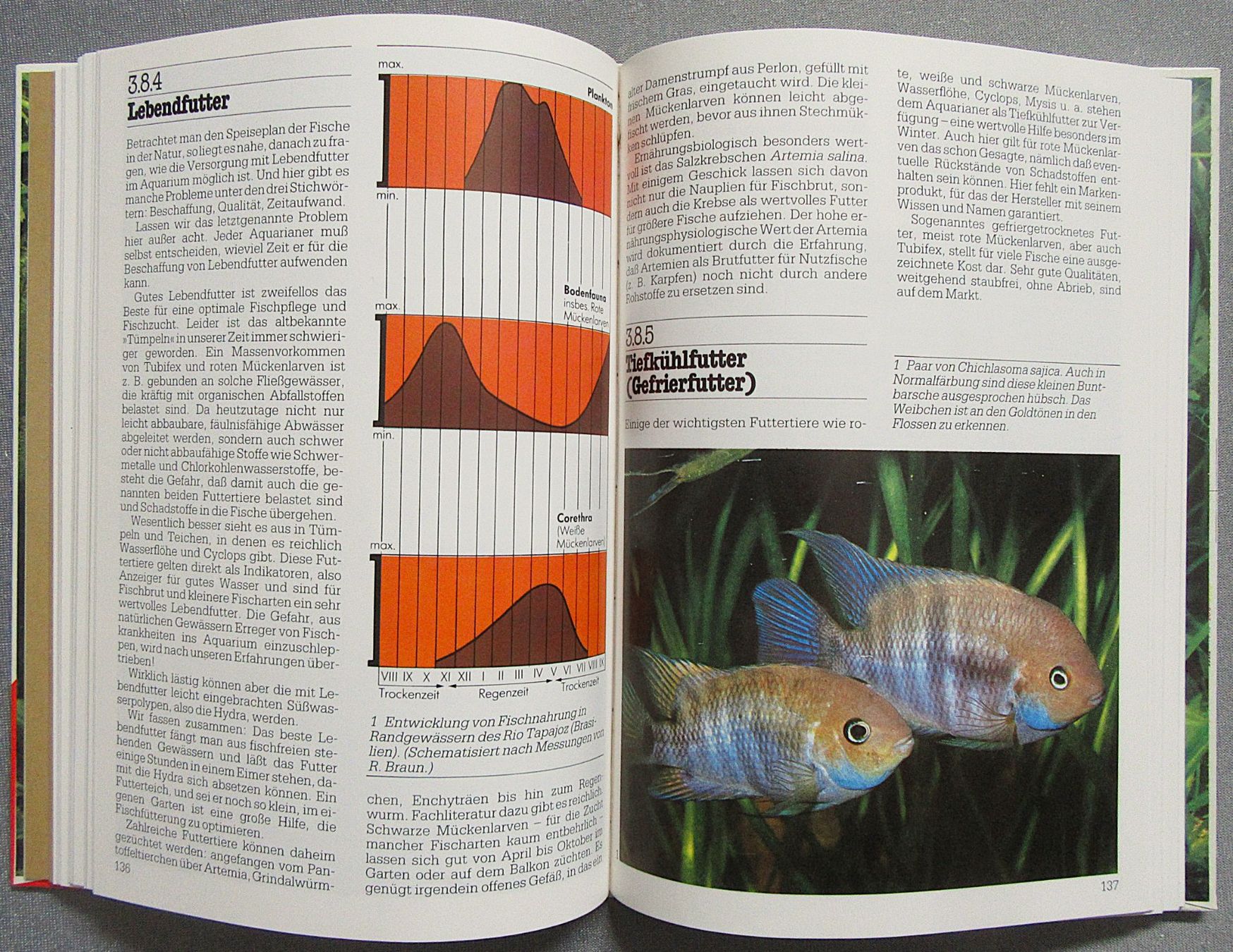 Libri: Das Optimale Aquarium - Süsswasser-Aquarium – Usato da Auenstein venduto da Padabimbim 7
