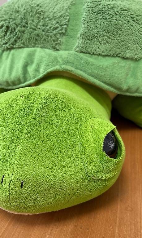 Giocattoli: Riesen Plüsch Schildkröte 80 cm – Usato da Netstal venduto da gapow 1