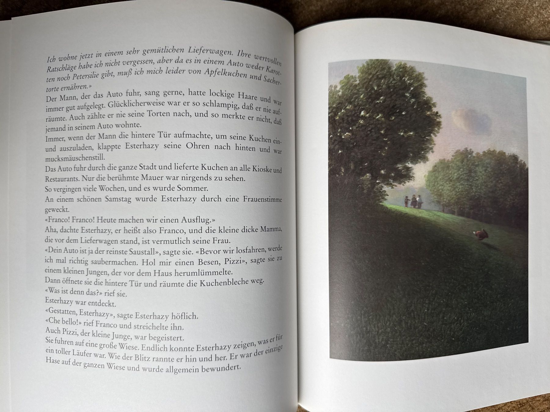 Libri: Esterhazy -Eine Hasengeschichte - Irene Dische – Usato da Aarau venduto da Kilauea 5