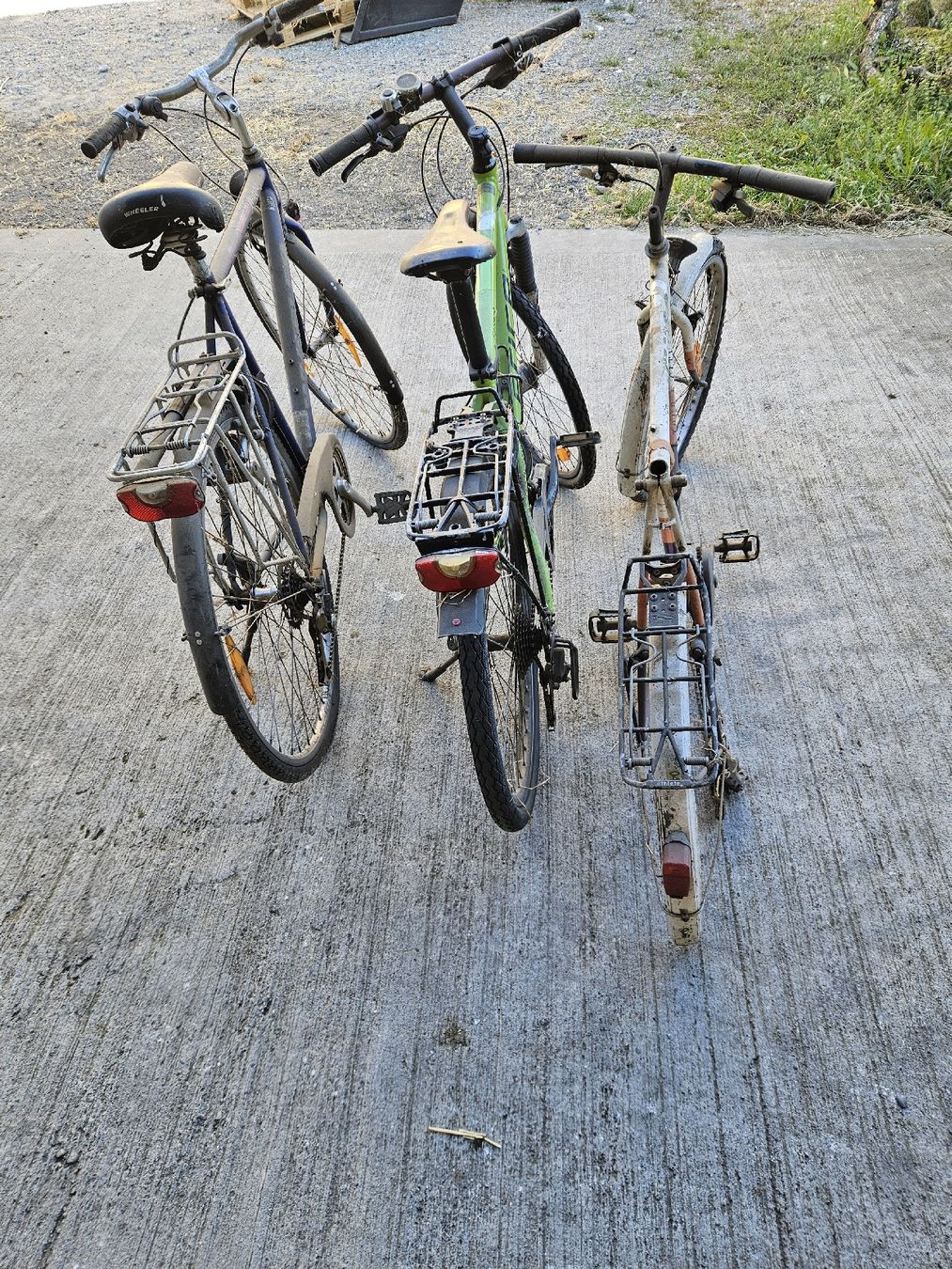 Biciclette: Fahrräder defekt – Difettoso da Sursee venduto da ren_9mcp 5