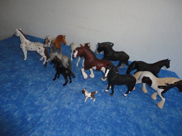 Schleich Spielzeuge: SCHLEICH PFERDE 11X – Neu (gemäss Beschreibung) aus Teufen AR von Donschabl 4