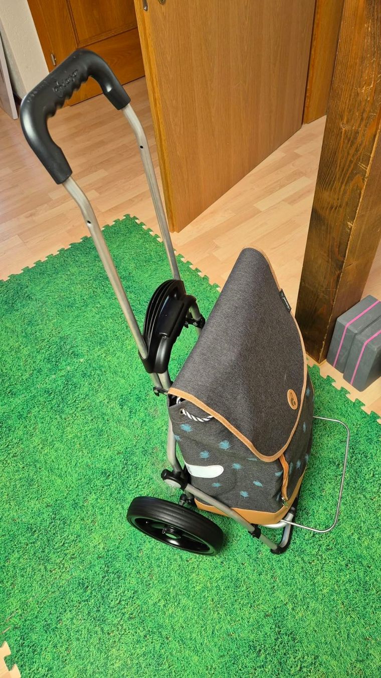 Altro per la casa: Einkaufstrolley – Usato da Schattdorf venduto da Emma110