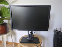 Dell Monitor P2213T