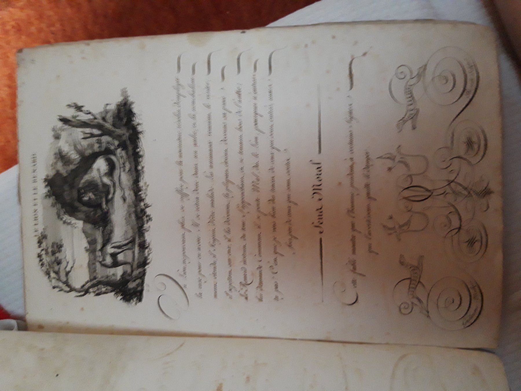 Bücher: Fables d'ésope, Bonaparte Paris  1801 – Gebraucht aus Näfels von gil_sindamel 6
