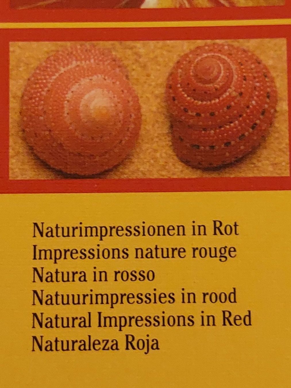 Ravensburger Puzzle: Puzzle 3 x 500 von Ravensburger – Usato da Igis venduto da murmeli24 2