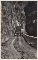 Les Pontis 1951
