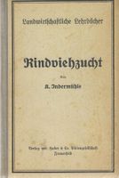Rindviehzucht 1931