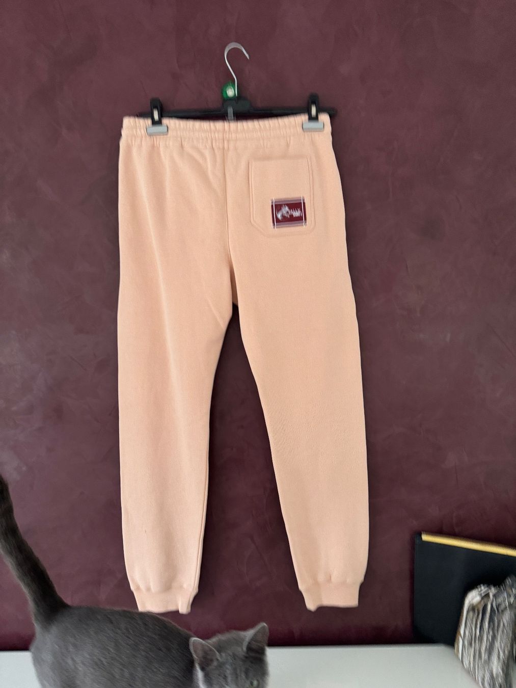 Bally Hosen: Bally Jogginghose mit -motiv Gr 38/36 – Neu und originalverpackt aus Volketswil von praxis12 3