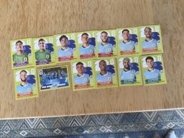 Panini Sticker ( 2 3 5 8 9 10 11 12 13 14 15 19 20 )