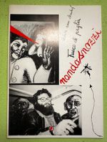 Nando Snozzi: Fuoco di paglia.