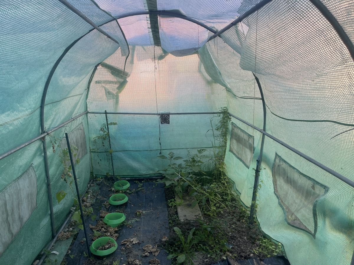 Gartenhäuser & Gewächshäuser: Gewächshaus  – Defekt aus Dietikon von Ute7092 3