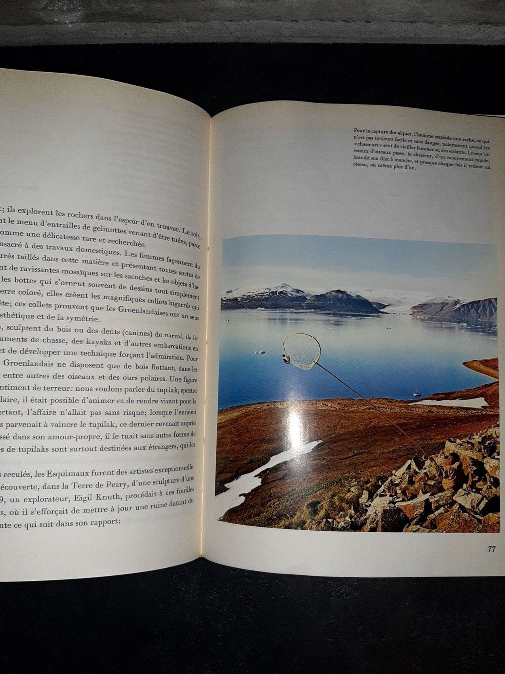 Libri: Groenland – Usato da Le locle venduto da juliensaran 2