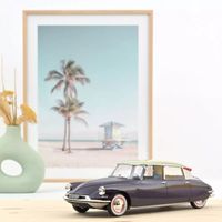 1:18 Citroën DS 19 1956, Exclu web 400 pcs Norev
