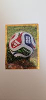  FWC 5 PANINI 2026
