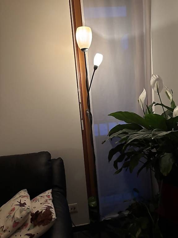 Lampade: Stehlampe  – Usato da Oberdiessbach venduto da shan26 2