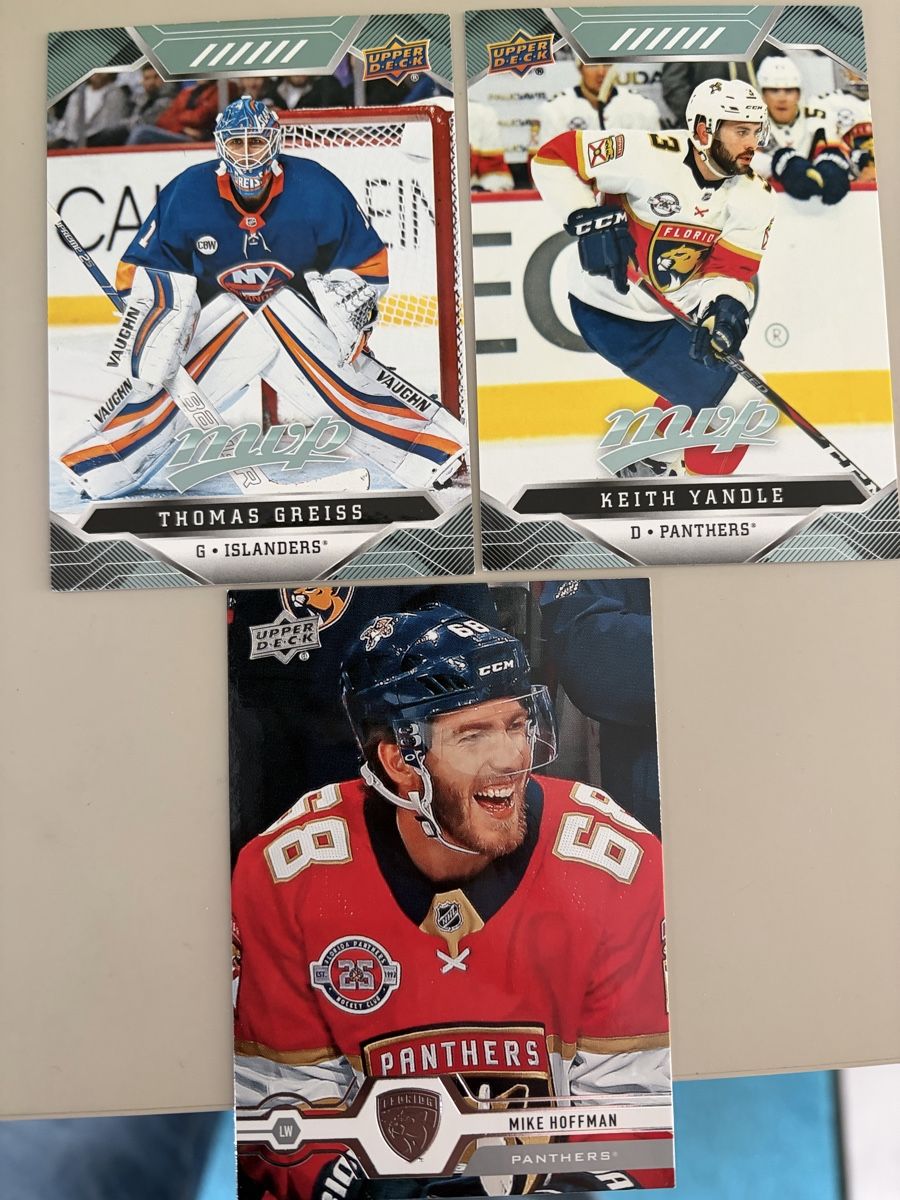 NHL Carte collezionabili: NHL Hockey Card – Usato da Meierskappel venduto da Cc19
