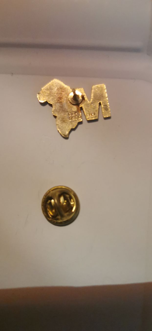 Plaquettes & Badges: Pin Migros  – D'occasion à Genève par vins50 1