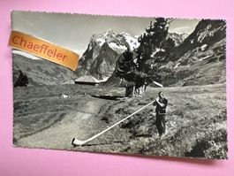 Alphornbläser mit Wetterhorn