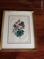 Originalstahlstich Blumenmotiv
