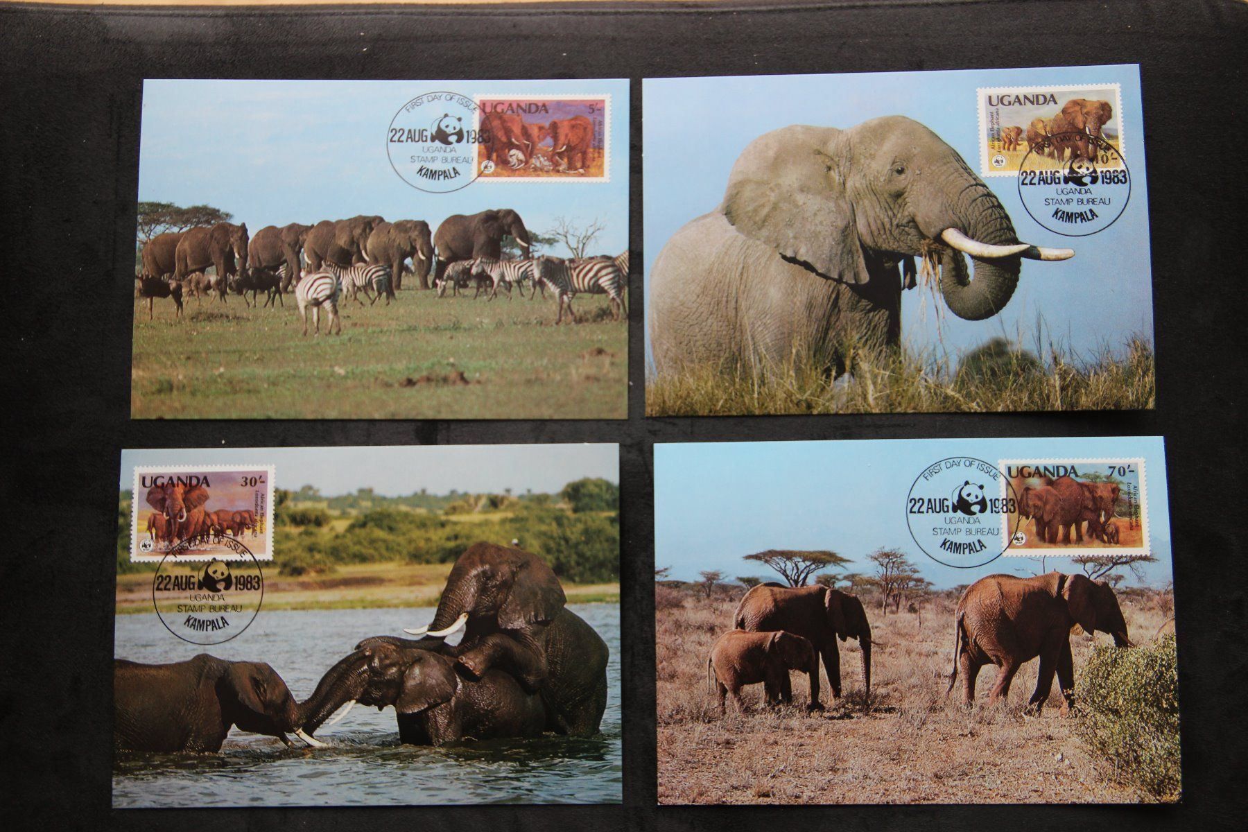 Alle Briefmarken: Uganda 1983 - Maximumkarten - Elefanten (WWF) – Neu (gemäss Beschreibung) aus Jona von Southafrica07