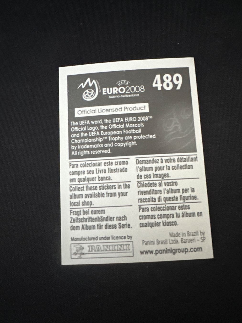 Panini Carte collezionabili: Panini UEFA EM 2008 Sticker - Nr. 489 – Usato da Sulz AG venduto da DealWerk 1